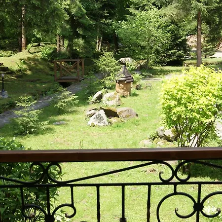 Hotel Dykyi Med Tatariv