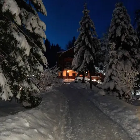 Dykyi Med Hotel Tatariw