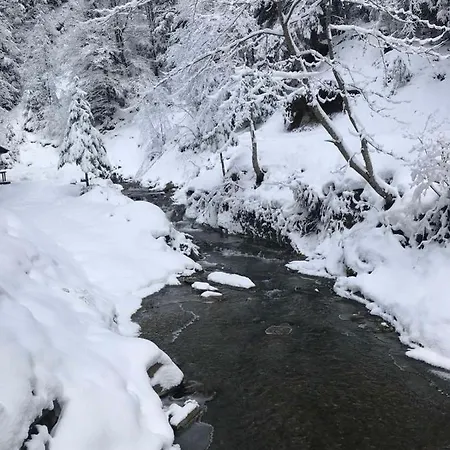 Dykyi Med Hotel Tatariv