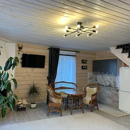 Hotel Dykyi Med Tatariv