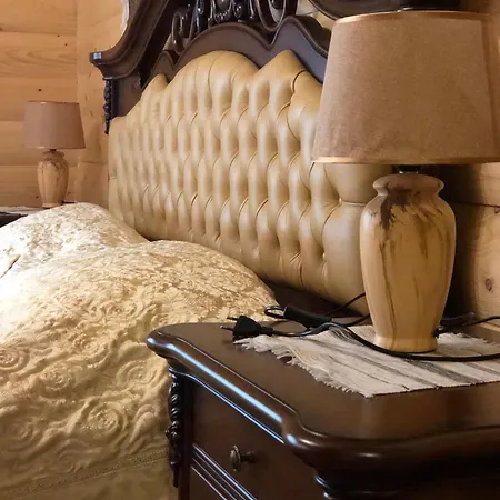 Dykyi Med Hotel