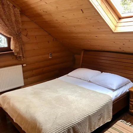 Dykyi Med Hotel *