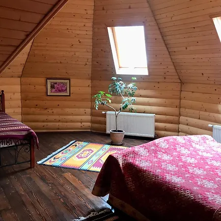 Hotel Dykyi Med Tatariv