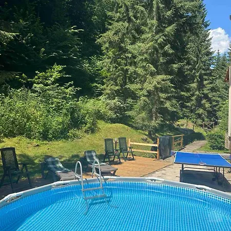 Dykyi Med Hotel Tatariv