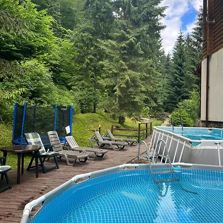Hotel Dykyi Med Tatariv