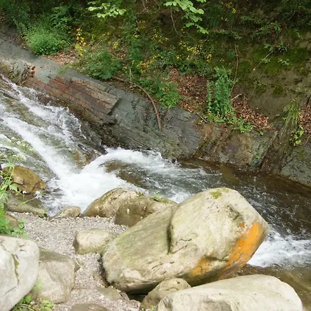 Dykyi Med Hotel Tatarów