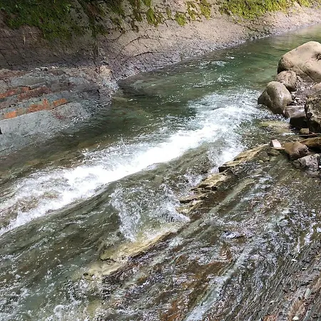 Dykyi Med Hotel Tatarów