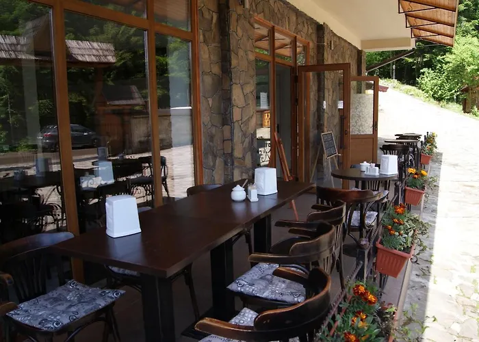Dykyi Med 酒店