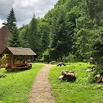 Dykyi Med *