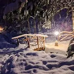Dykyi Med Hotel Tatariv