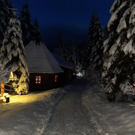 Hotel Dykyi Med