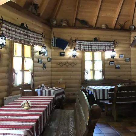 Dykyi Med Hotel Tatariv