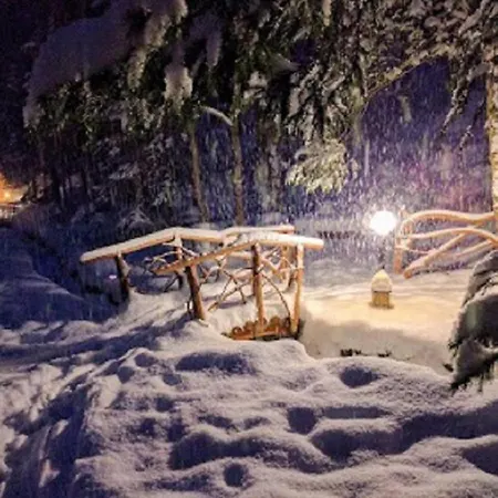 Dykyi Med Hotel Tatariv