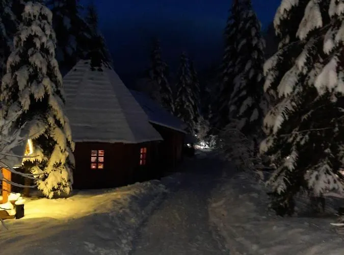 Otel Dykyi Med