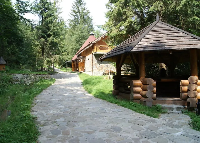 Dykyi Med Otel Tatariv